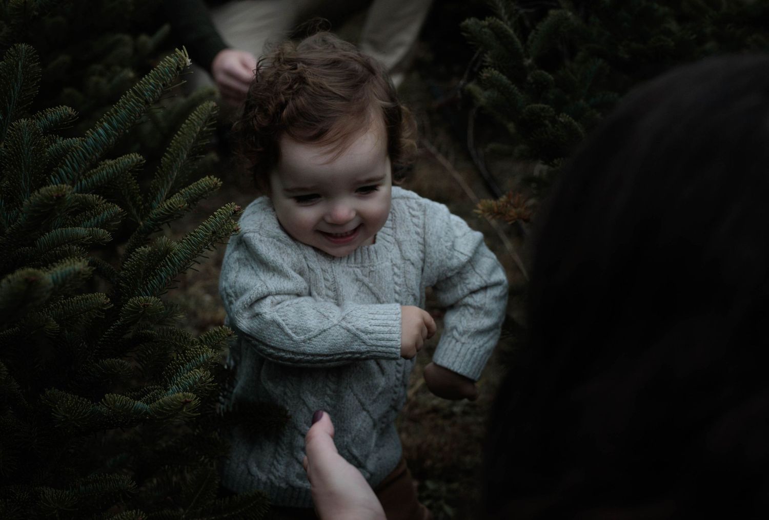 Smiling baby in gray cable-knit sweater surrounded by lush green pine trees, held by adults outdoors.