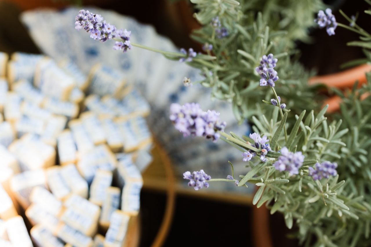 Lavender plant in bloom beside small blue and white wedding favor soaps at a rustic reception.