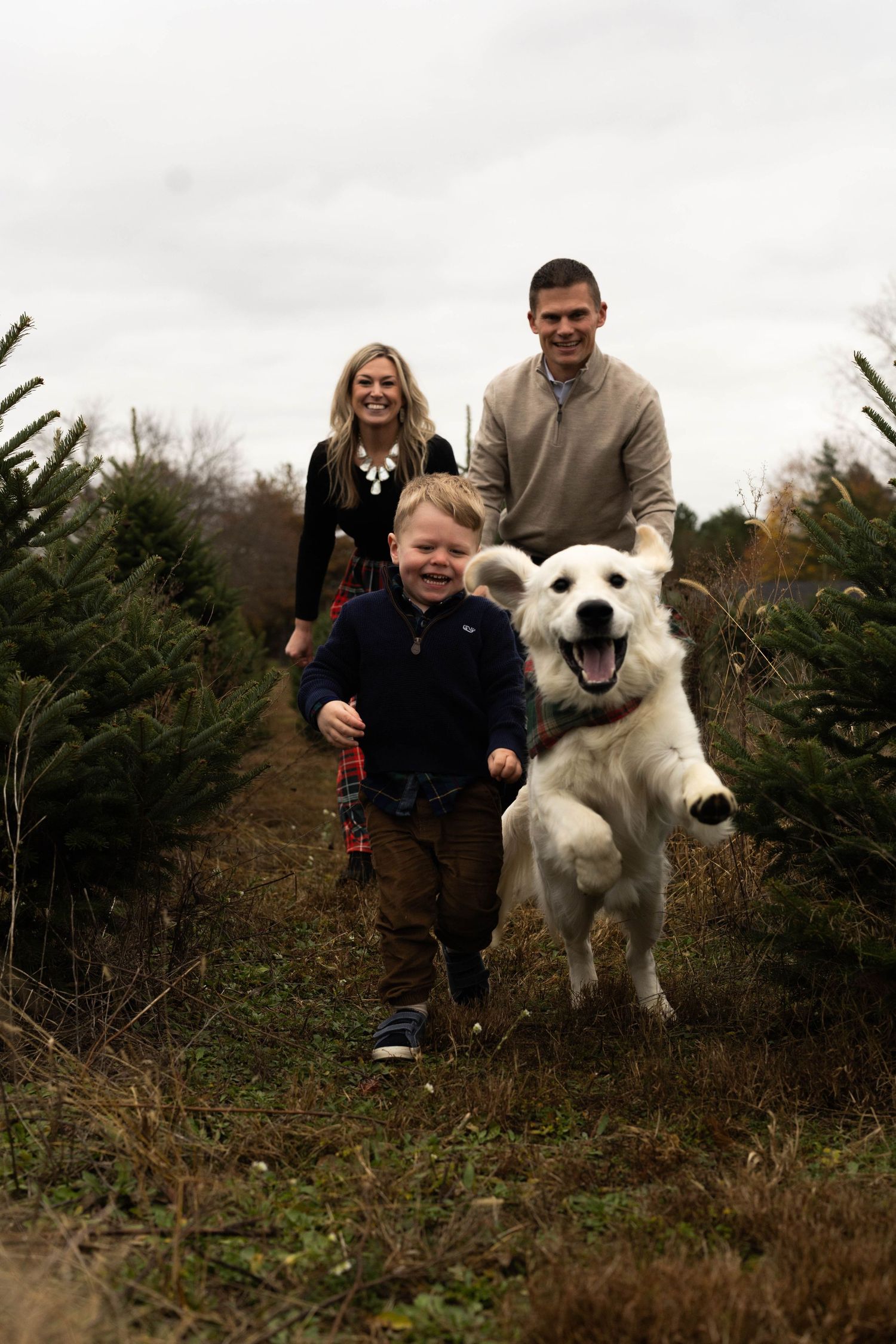 Family with a young boy and white golden retriever dog running through a Christmas tree farm on a cloudy day.