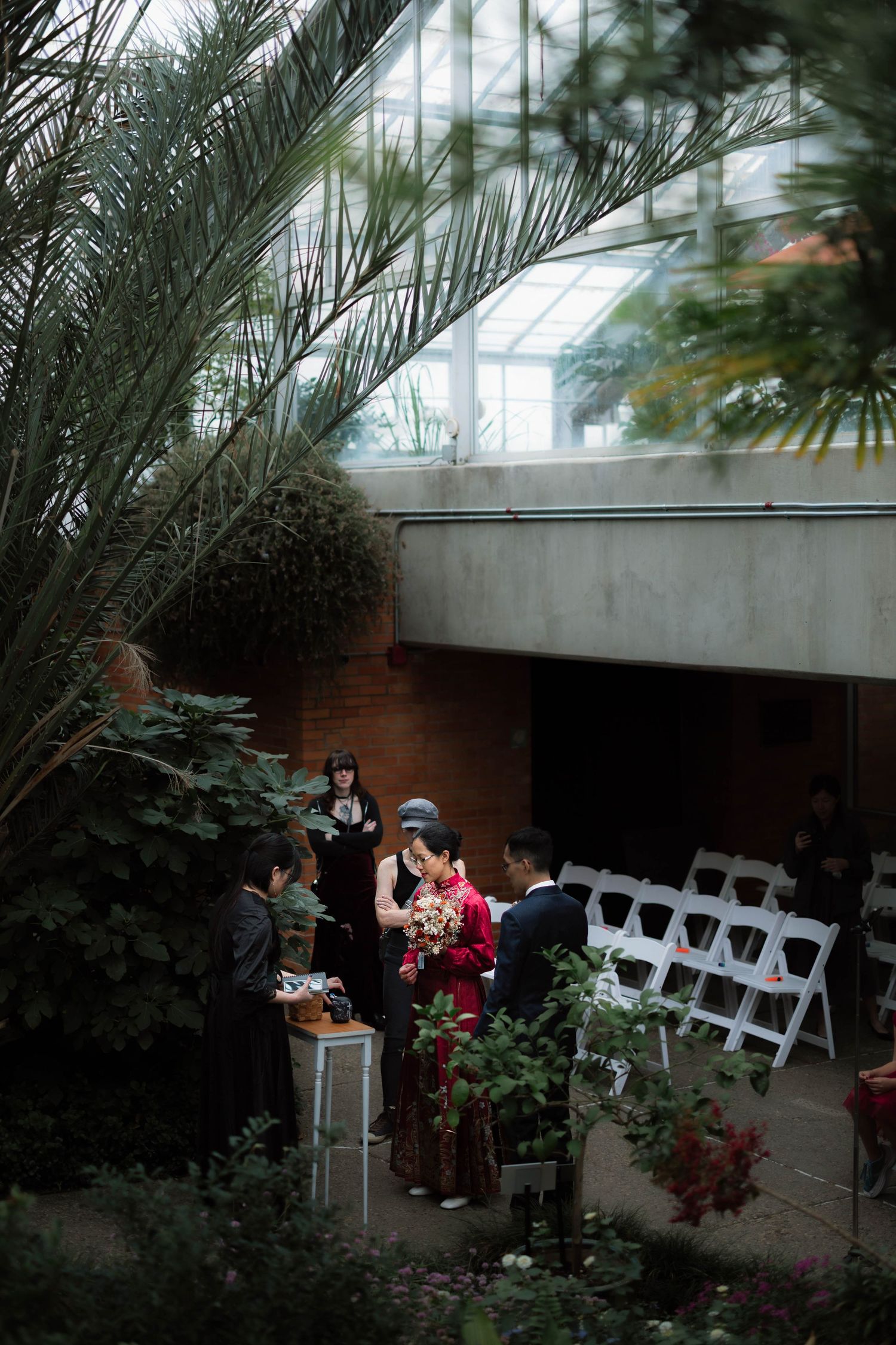 Wedding party gathers among tropical plants inside a greenhouse conservatory with white folding chairs.