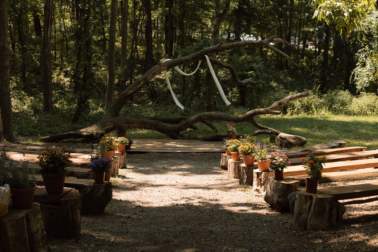 Rustic outdoor wedding ceremony aisle with wooden log benches, potted flowers, and a fallen tree draped with ribbon.