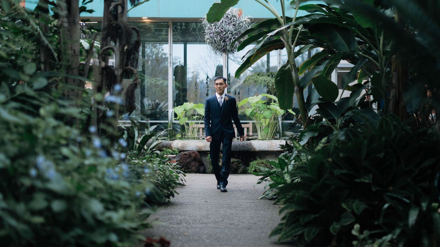 Elegant man in a suit walking through a lush indoor garden pathway surrounded by tropical plants.