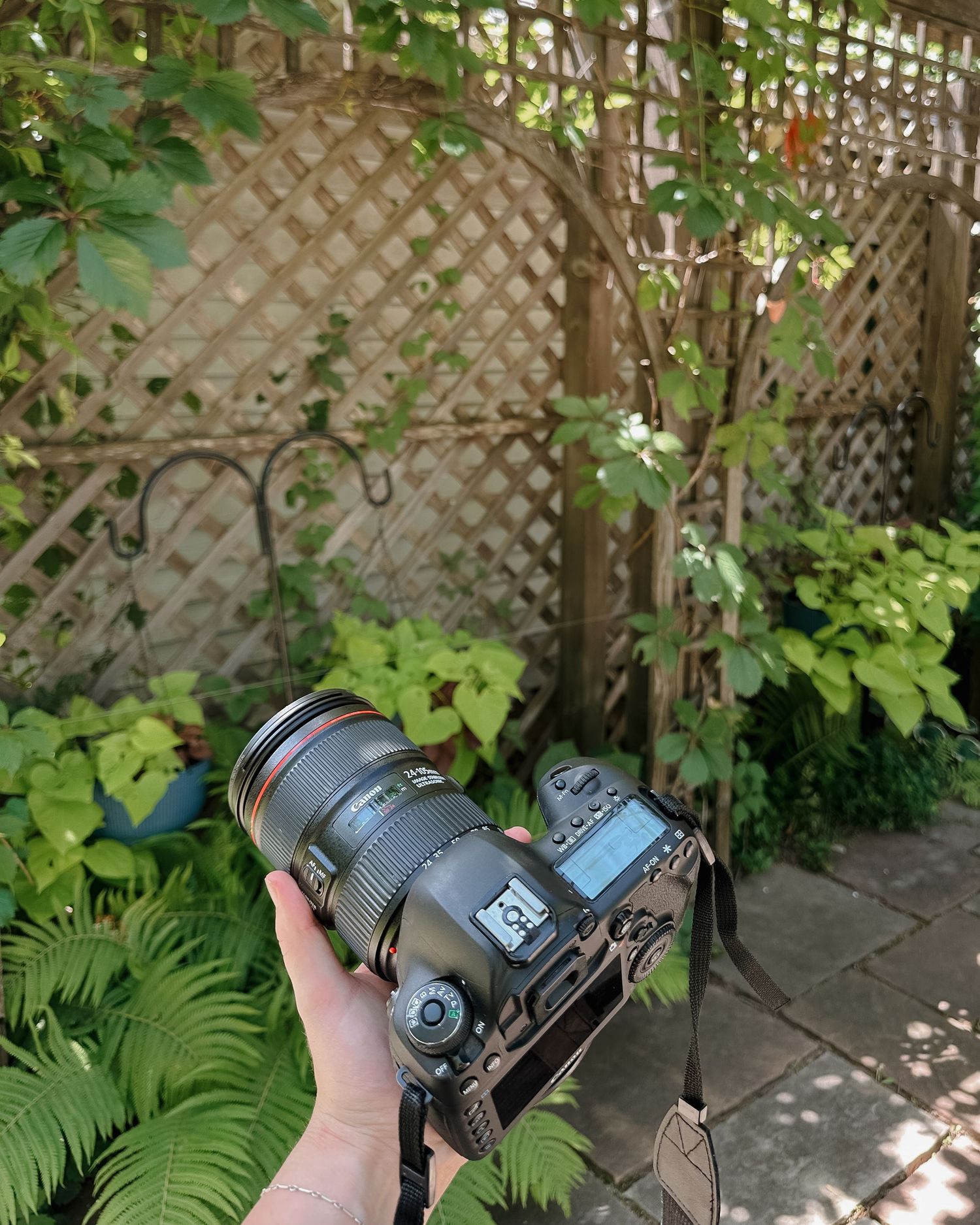 Close-up shots of professional camera equipment against a garden lattice background.