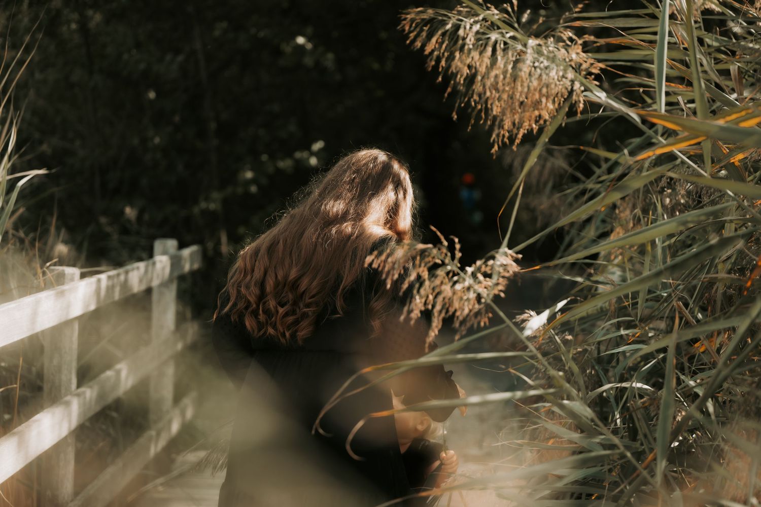 Person with long hair sitting among tall golden grasses and plants near a white fence in soft natural light.
