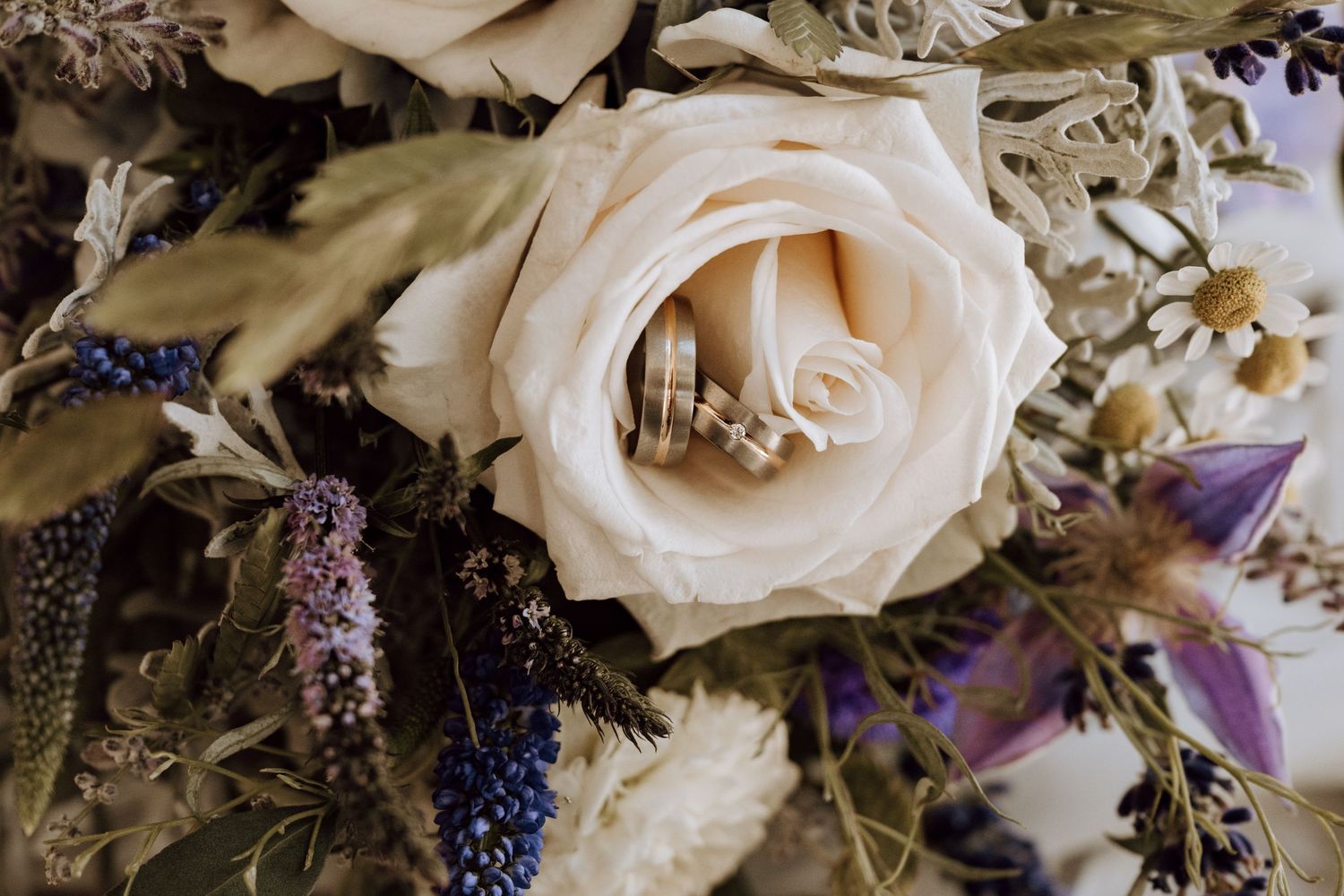 Wedding rings nestled inside a cream rose surrounded by a rustic bouquet of lavender, blue thistle, and dried wildflowers.
