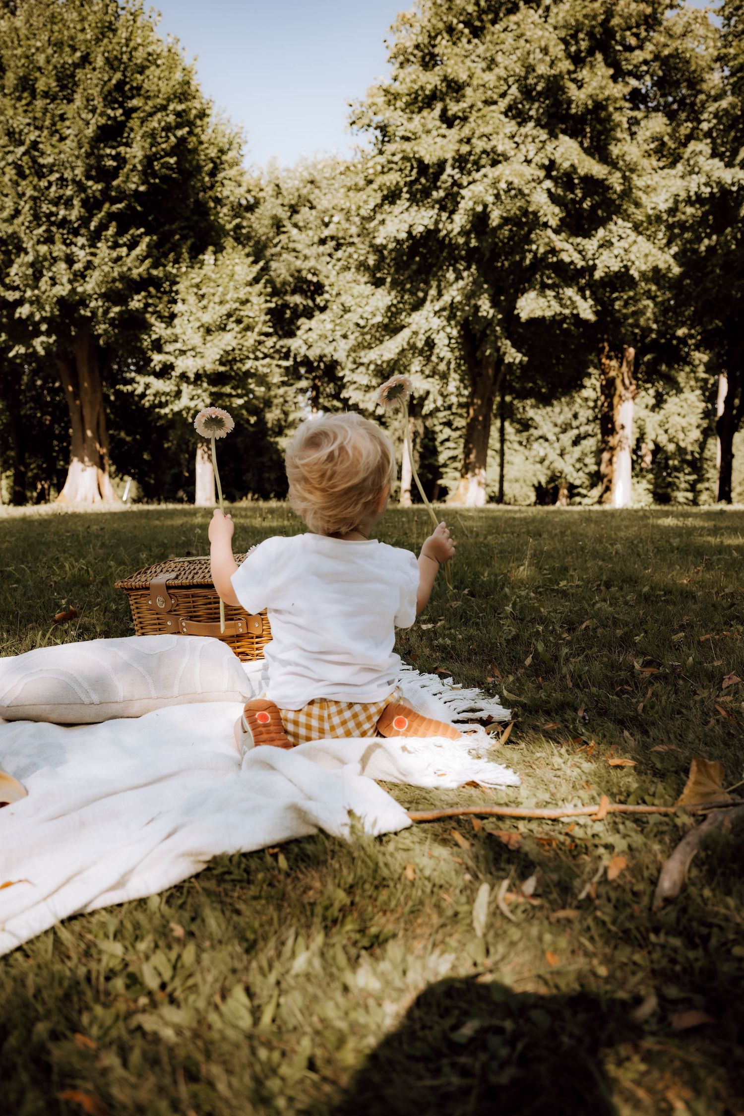 Toddler sitting on white blanket in sunny park, holding dandelions near wicker picnic basket, surrounded by green trees.