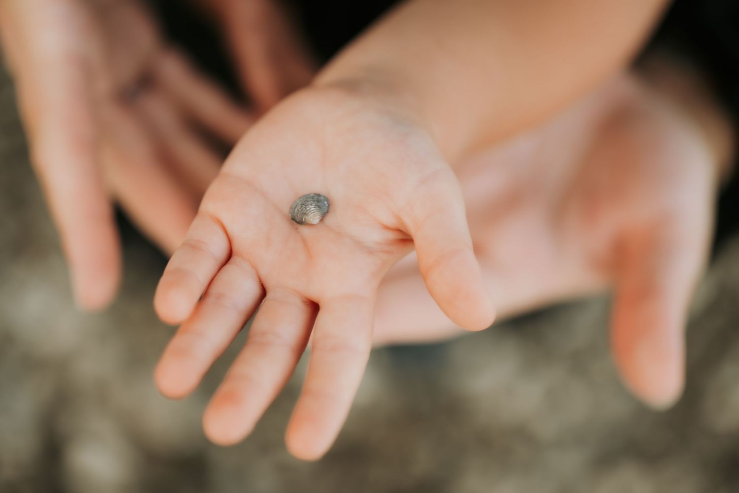 Close-up of an open palm holding a small coin, with another hand visible in the blurred background.