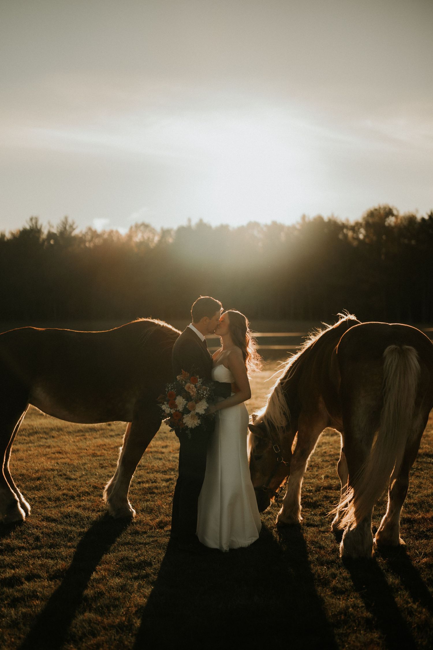 Silhouettes of horses and wedding couple in a sunlit field during golden hour.