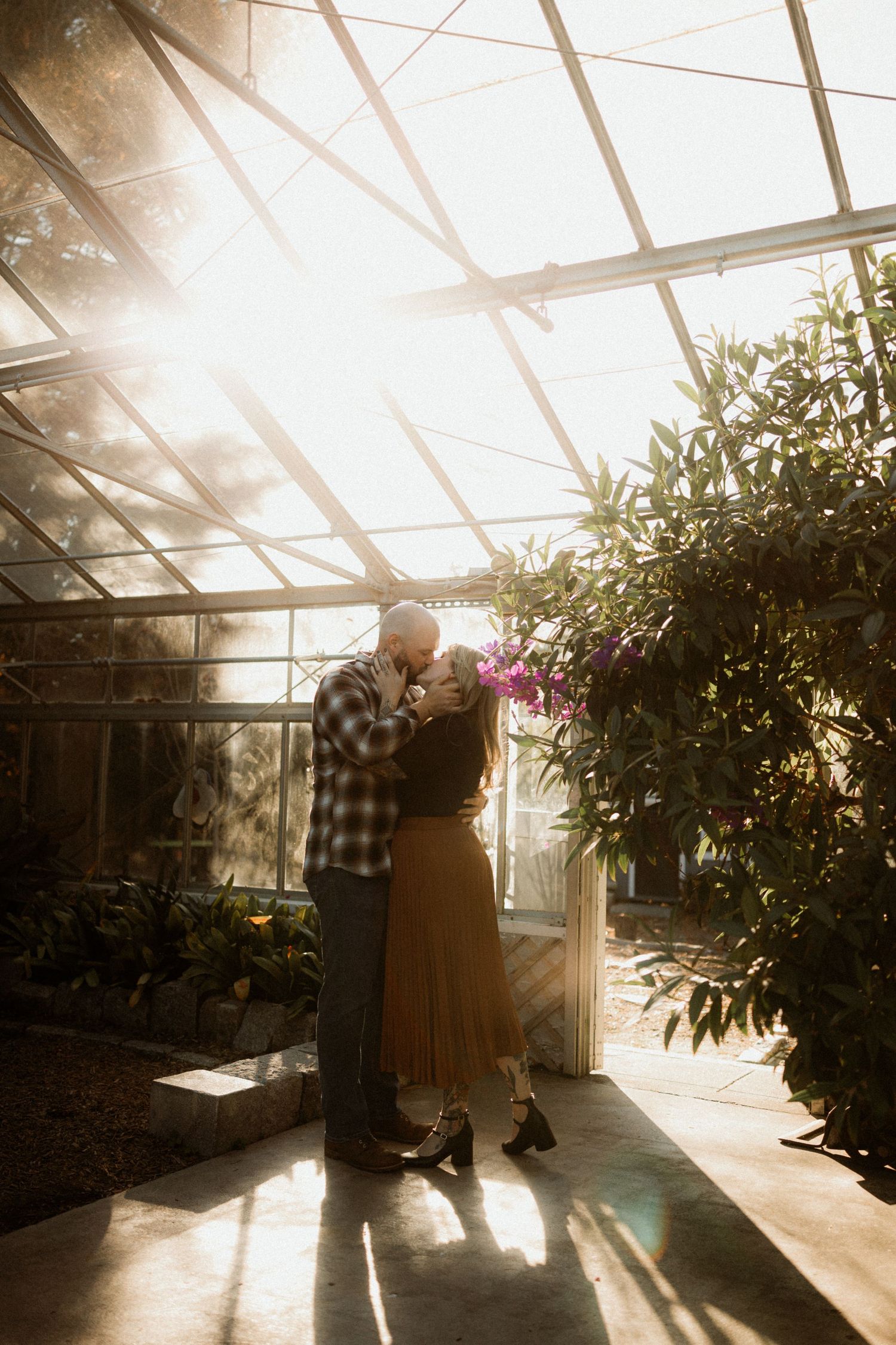 Sunlit interior of a greenhouse with plants creating dramatic shadows and light beams.