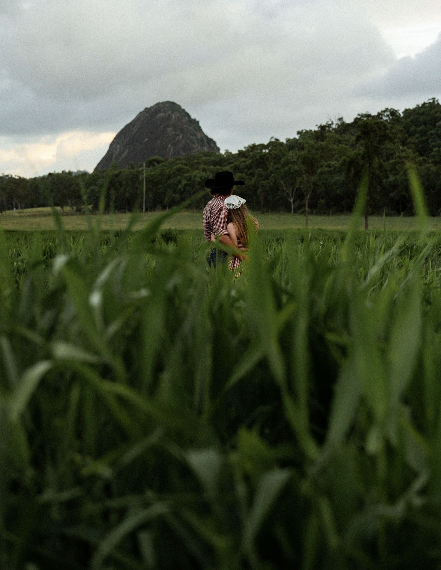 Couple embracing in a distant green field framed by tall grass in the foreground, with a mountain peak under a cloudy sky.