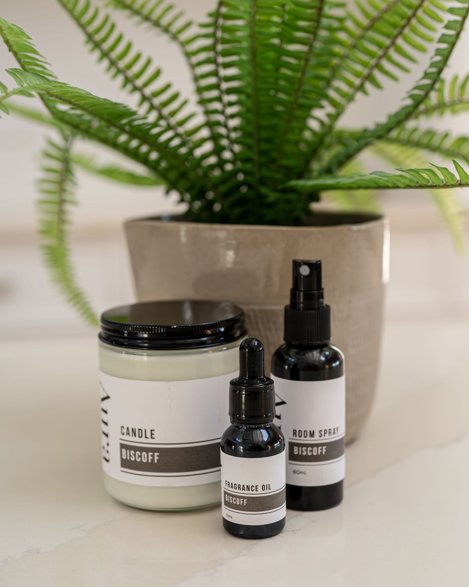 Aura Biscoff scented candle, fragrance oil and room spray set displayed in front of a potted fern.