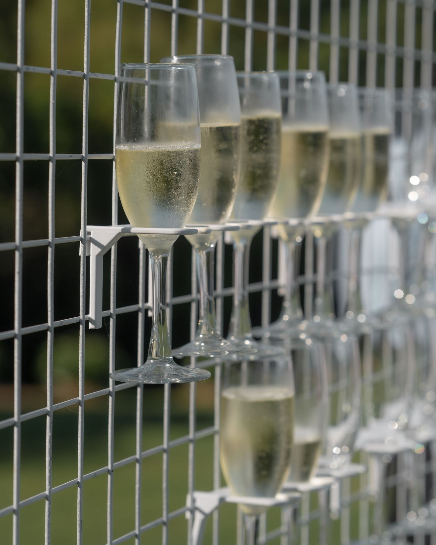 Champagne flutes filled with sparkling wine hang on a wire grid wall for a wedding celebration.