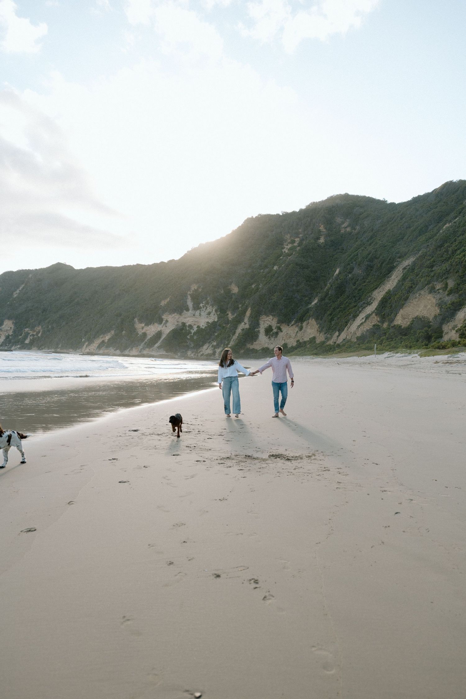 Couple holding hands walking along sandy beach with their dog near green coastal cliffs at sunset.