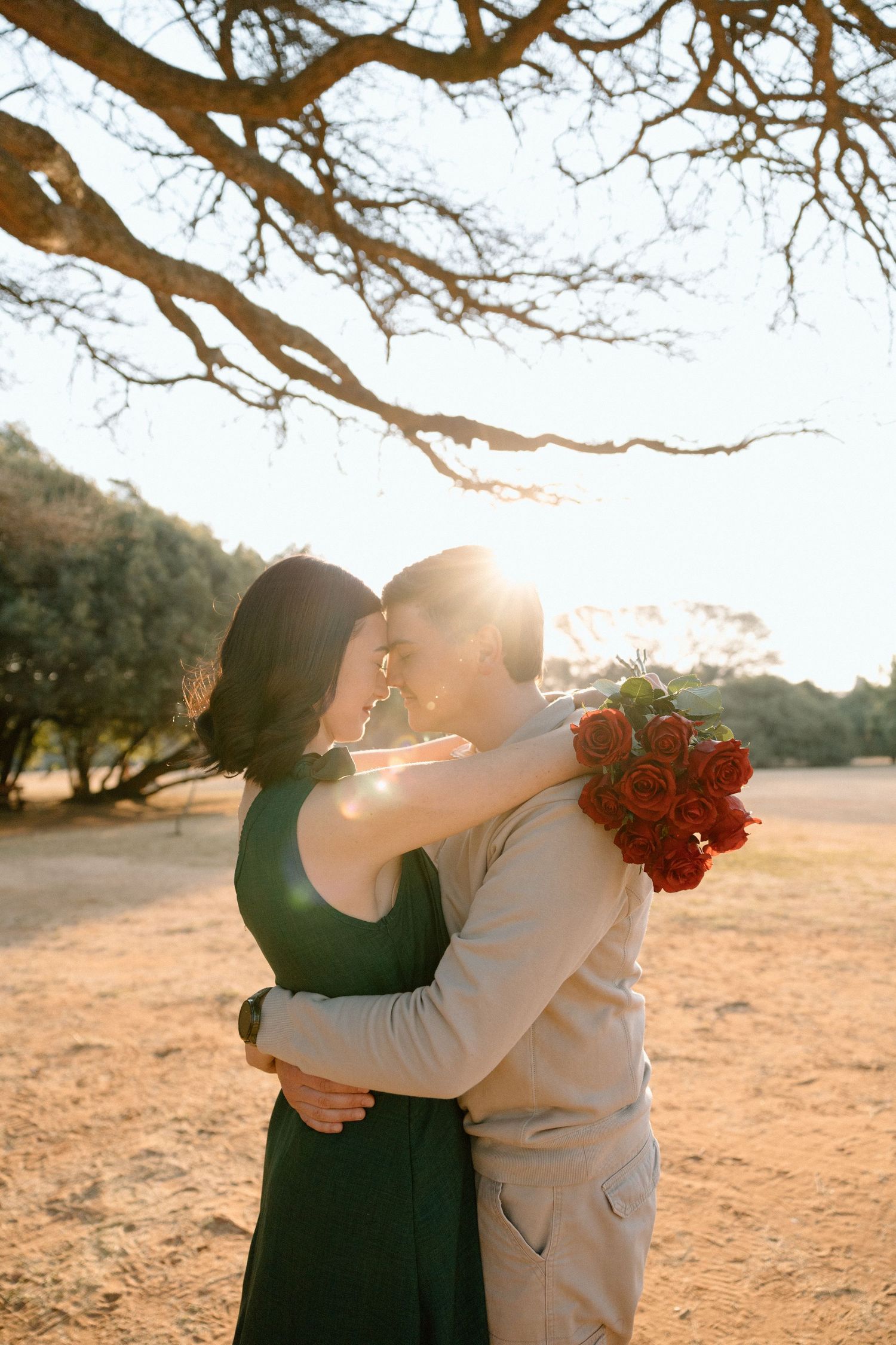 Couple embracing and kissing under tree branches with red roses bouquet in warm sunset backlight.