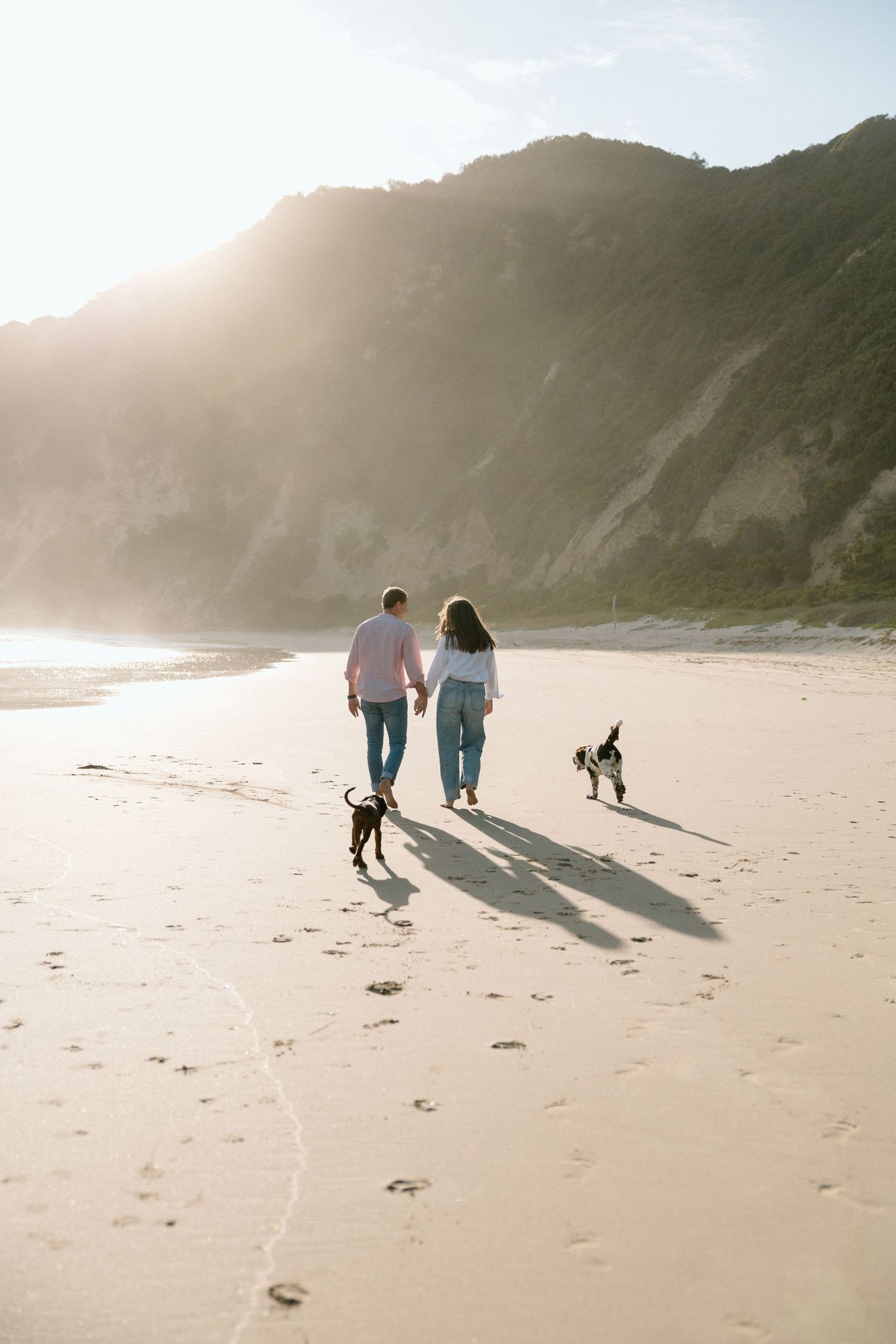Couple holding hands walking on sandy beach with two dogs, golden sunlight illuminating coastal cliffs in background.