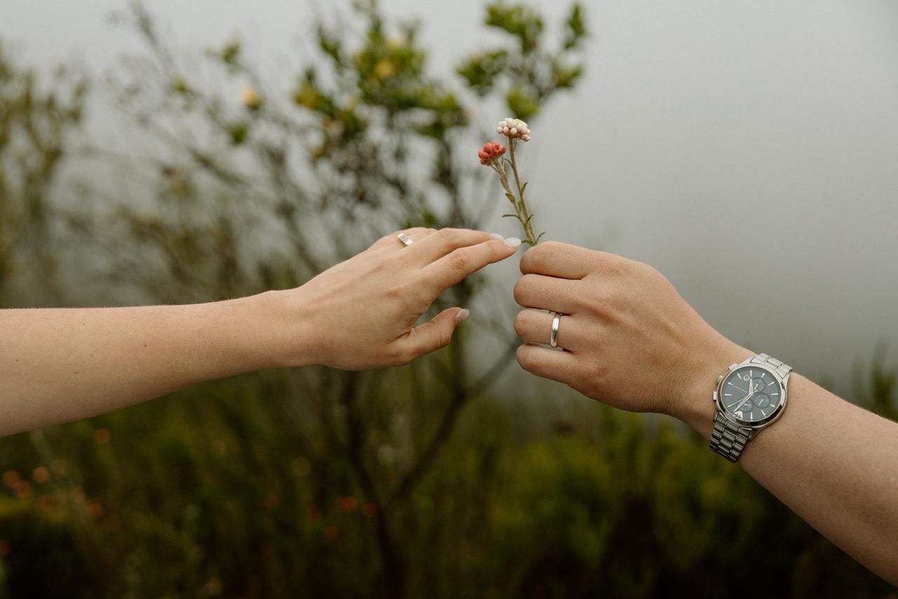 Two hands gently holding a small wildflower stem with a silver watch and engagement ring visible.
