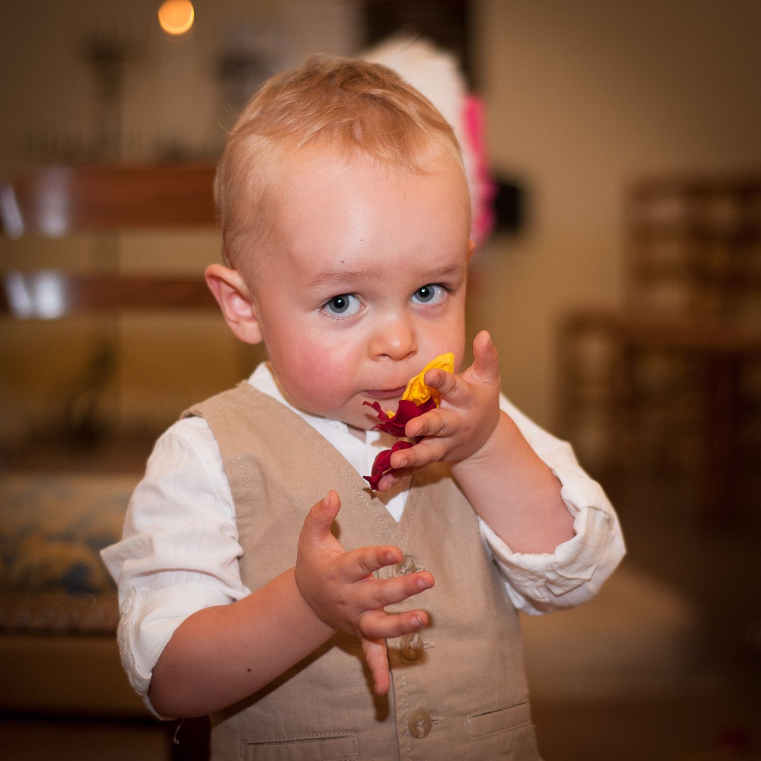 Photographe en Dordogne, Lot, Lot-Et-Garonne, Gironde. 
Je réalise avec émotion des photos de familles, amis, mariages, baptêmes, communions