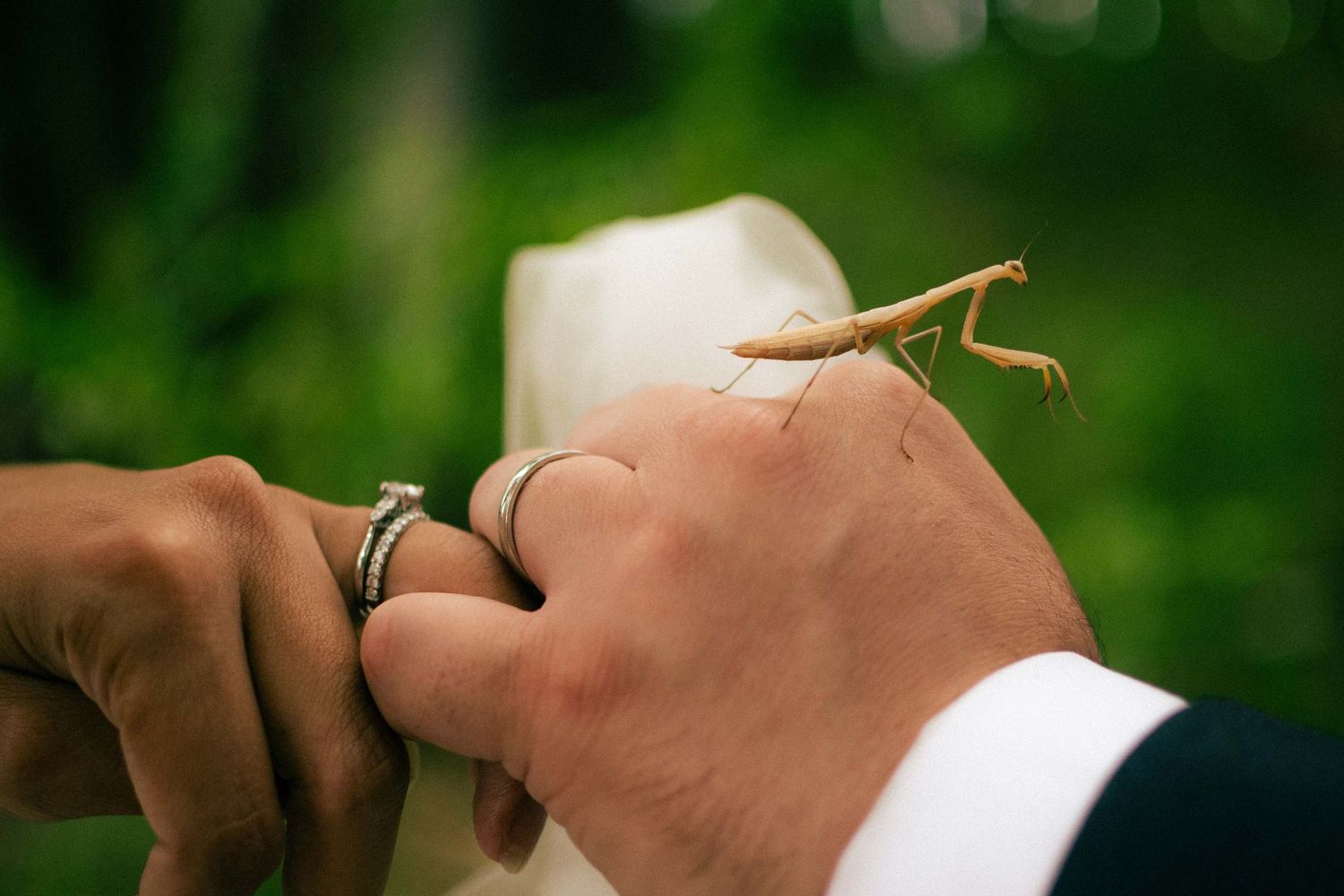 Photographe en Dordogne, Lot, Lot-Et-Garonne, Gironde. 
Je réalise avec émotion des photos de familles, amis, mariages, baptêmes, communions