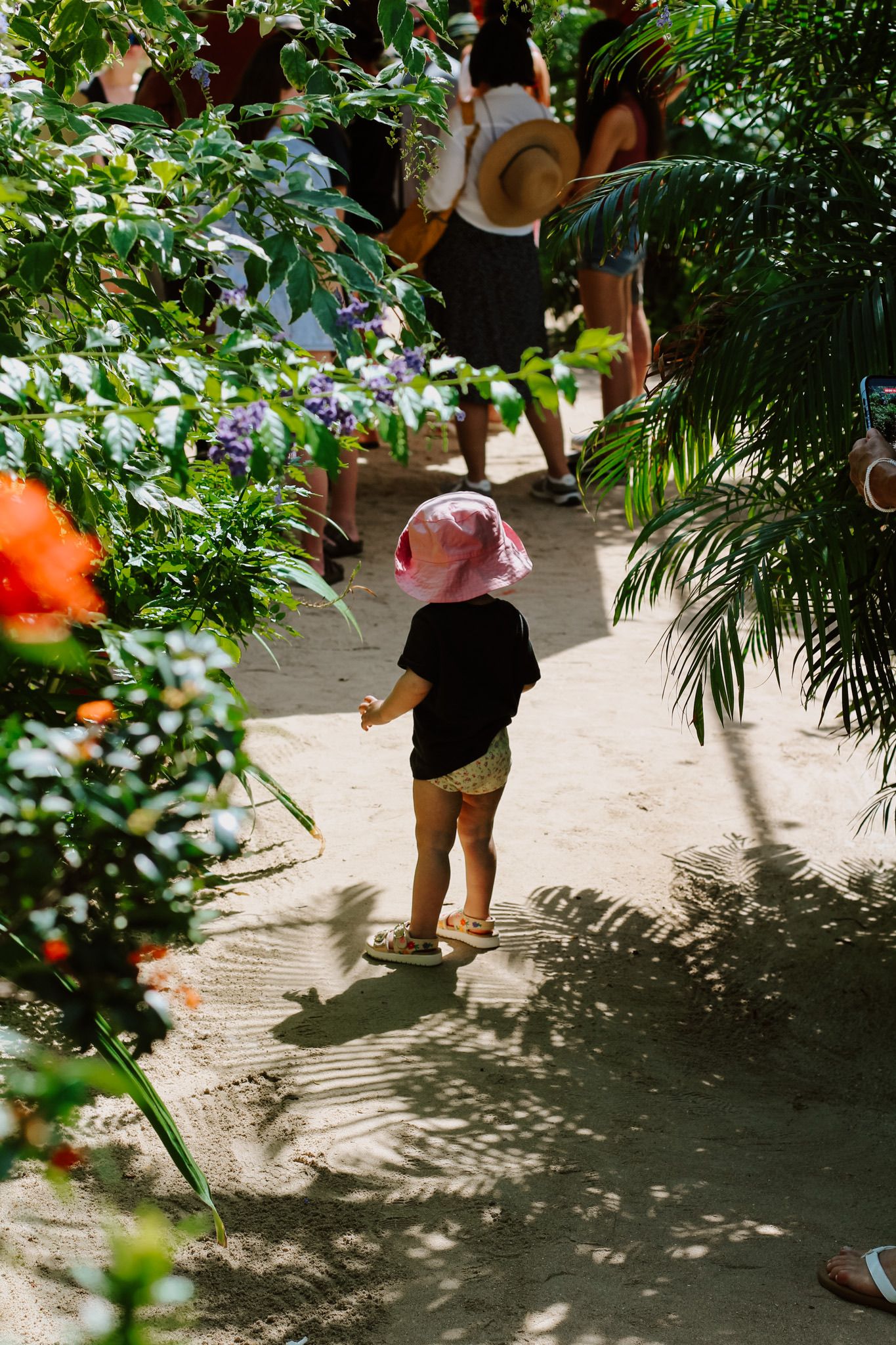 Toddler in pink bucket hat standing on sandy path surrounded by vibrant tropical garden greenery.