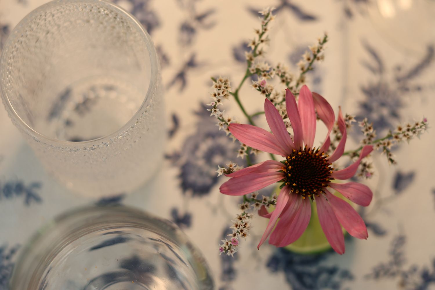 Pink echinacea flower with small white blooms in green vase on blue floral tablecloth.