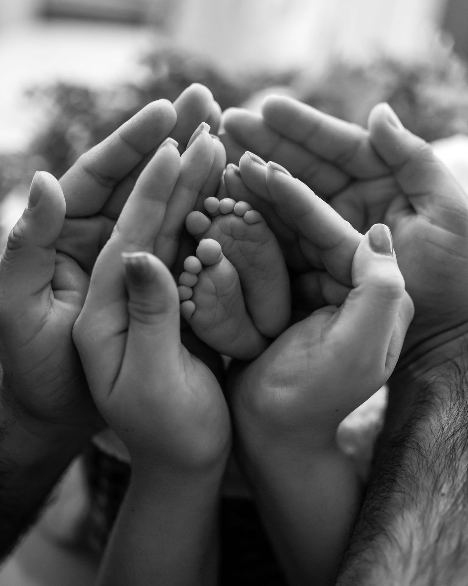 Black and white photo of multiple hands cradling tiny newborn baby feet.