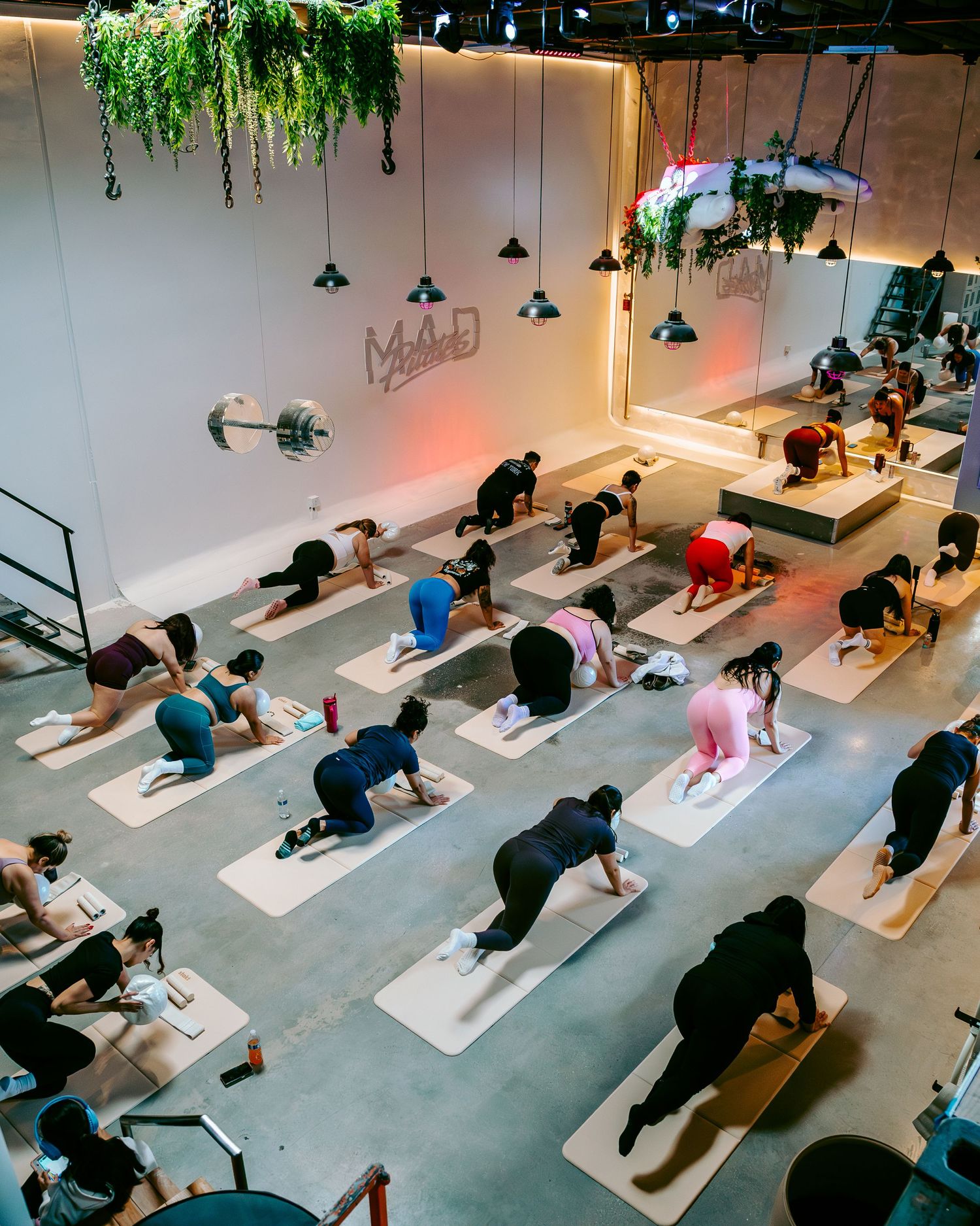 Aerial view of a large yoga class practicing on mats in a modern studio with hanging plants.