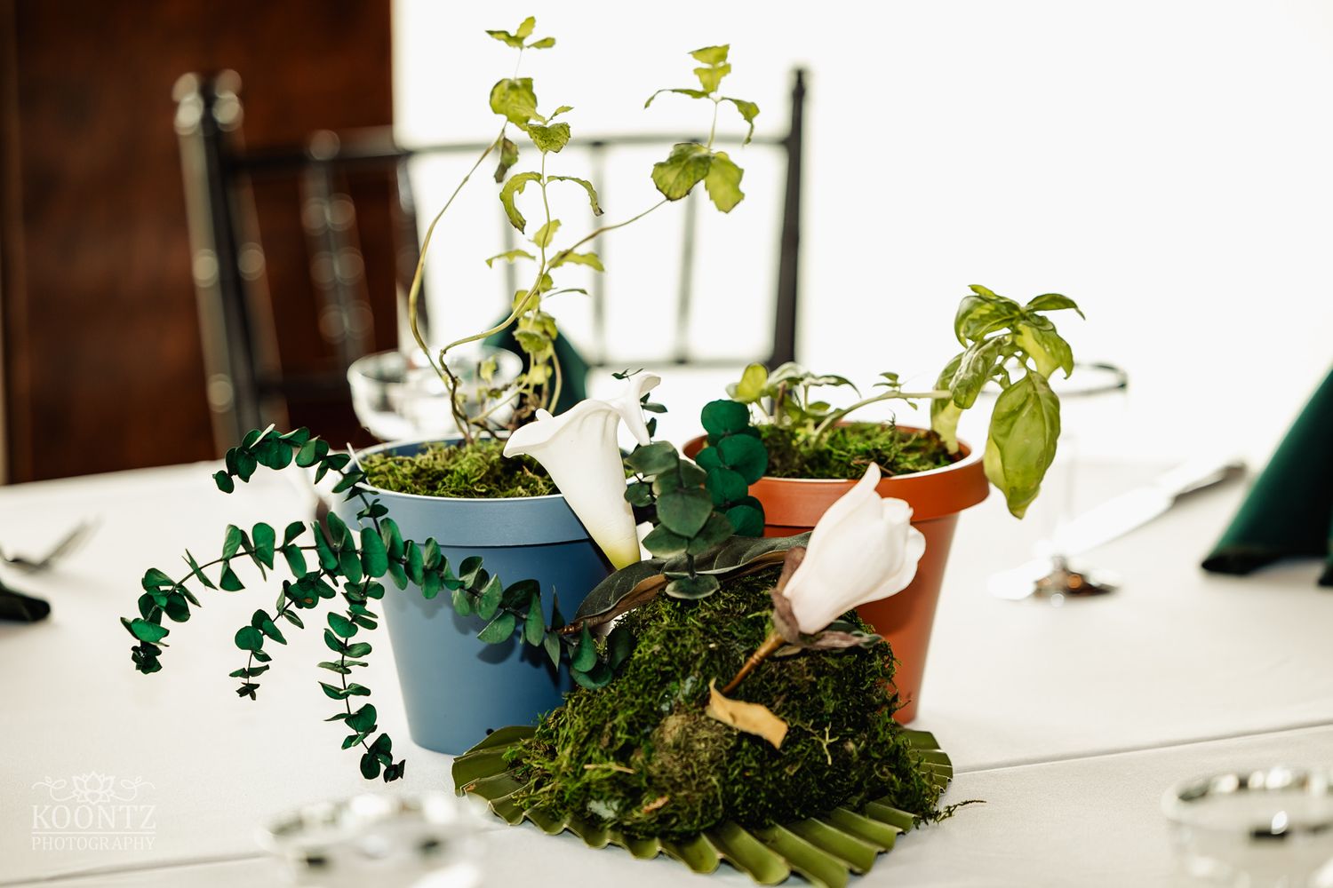Wedding table decoration featuring potted plants and greenery arranged on white linens.