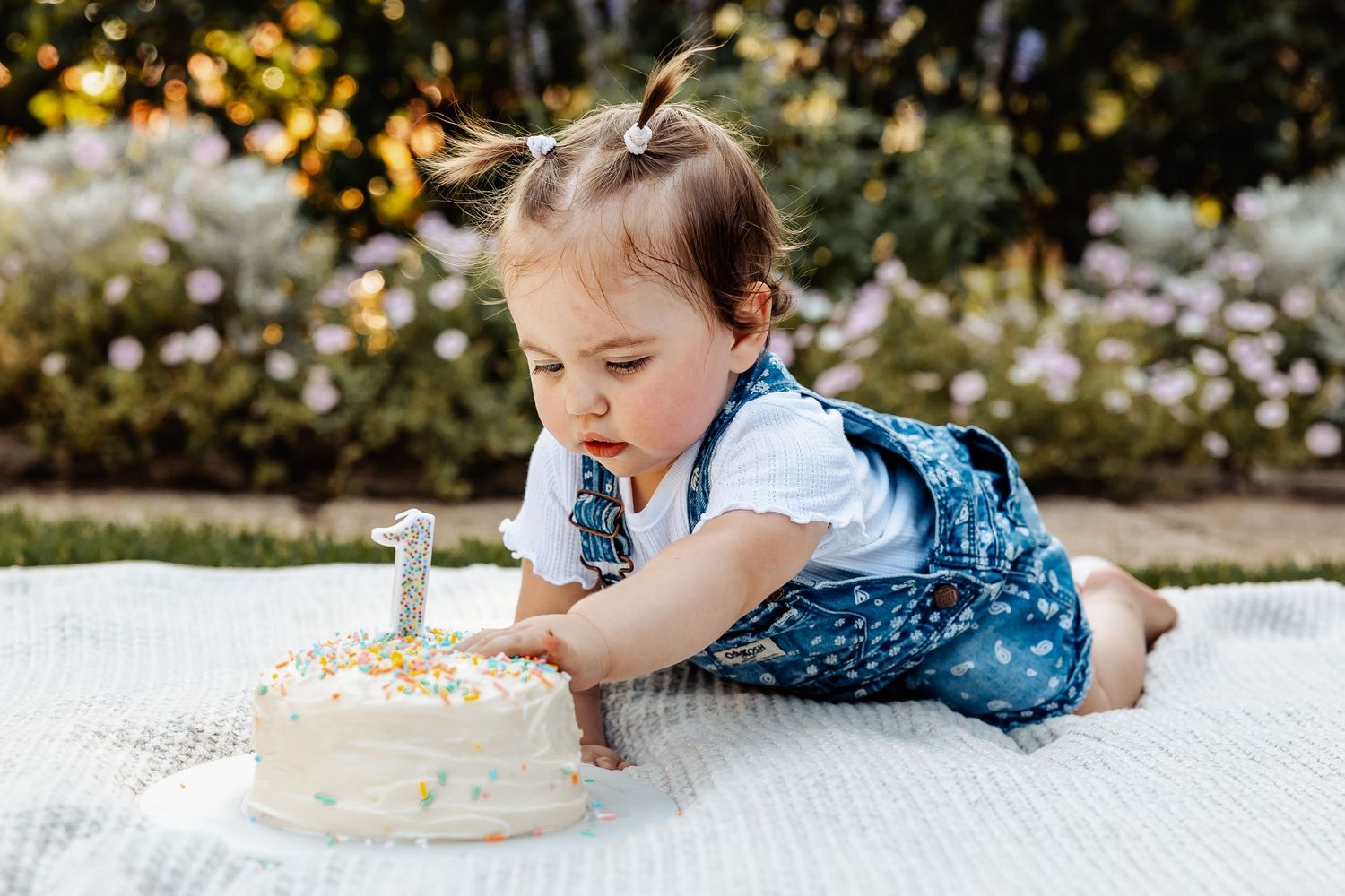 Curious baby girl in denim overalls reaching into her first birthday smash cake outdoors.