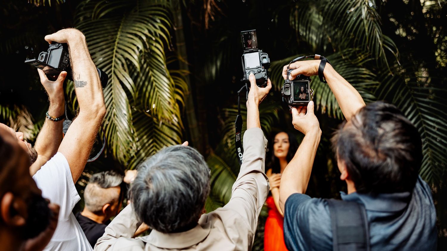 Group of photographers raising cameras during outdoor photoshoot session.