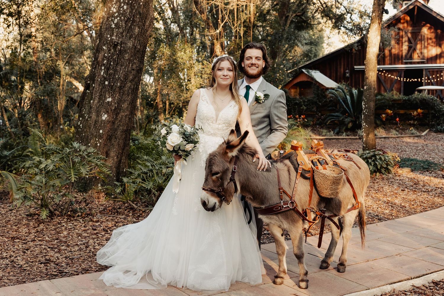 Wedding couple posing with a decorated donkey carrying saddle bags in a rustic outdoor setting.