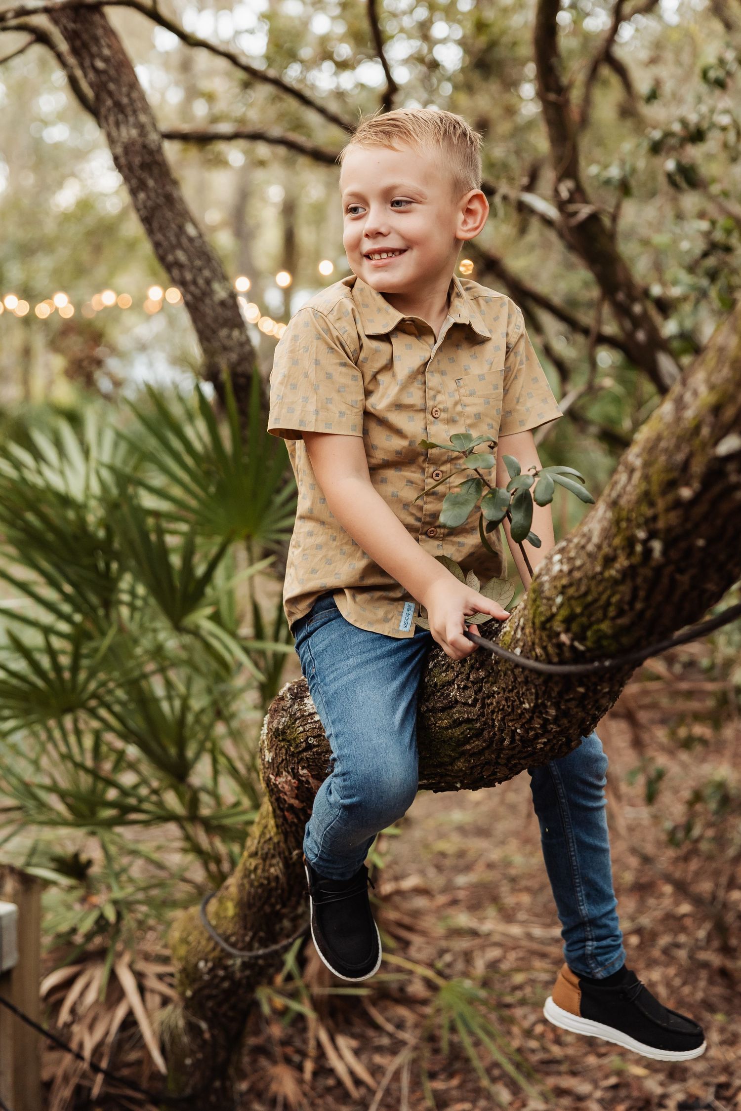 A happy young boy in a tan shirt and jeans sits perched on a tree branch in a wooded area.
