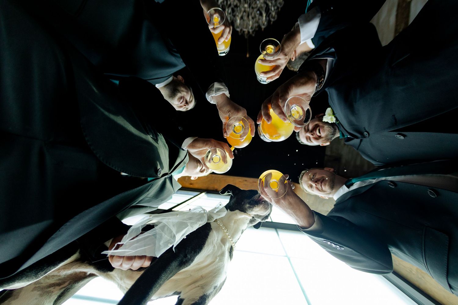 Group of people in formal attire toasting with drinks, photographed from below in a circle formation.