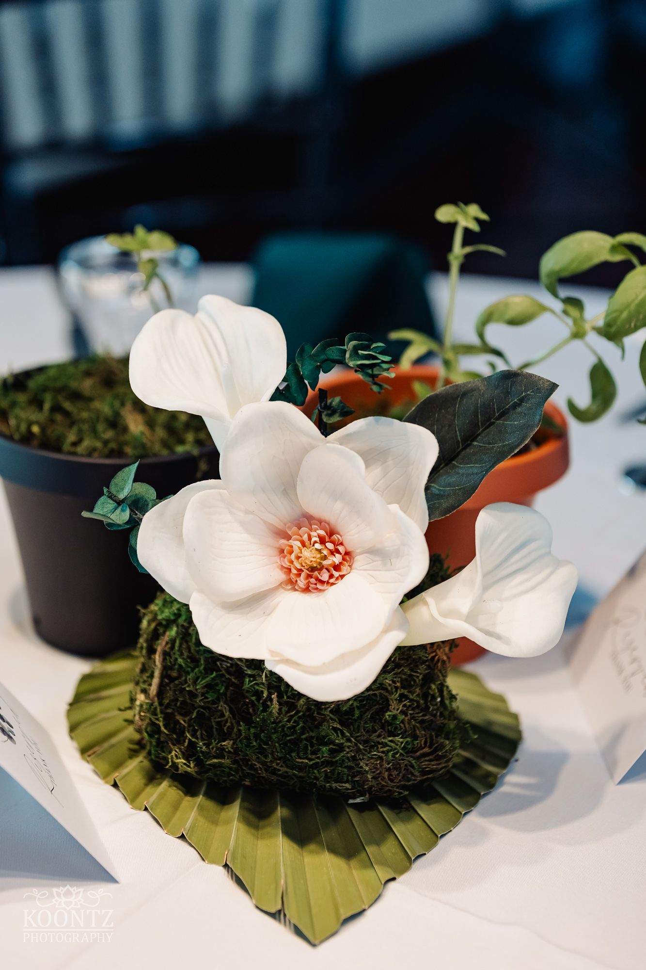 White magnolia flower arrangement on moss with tropical leaves.