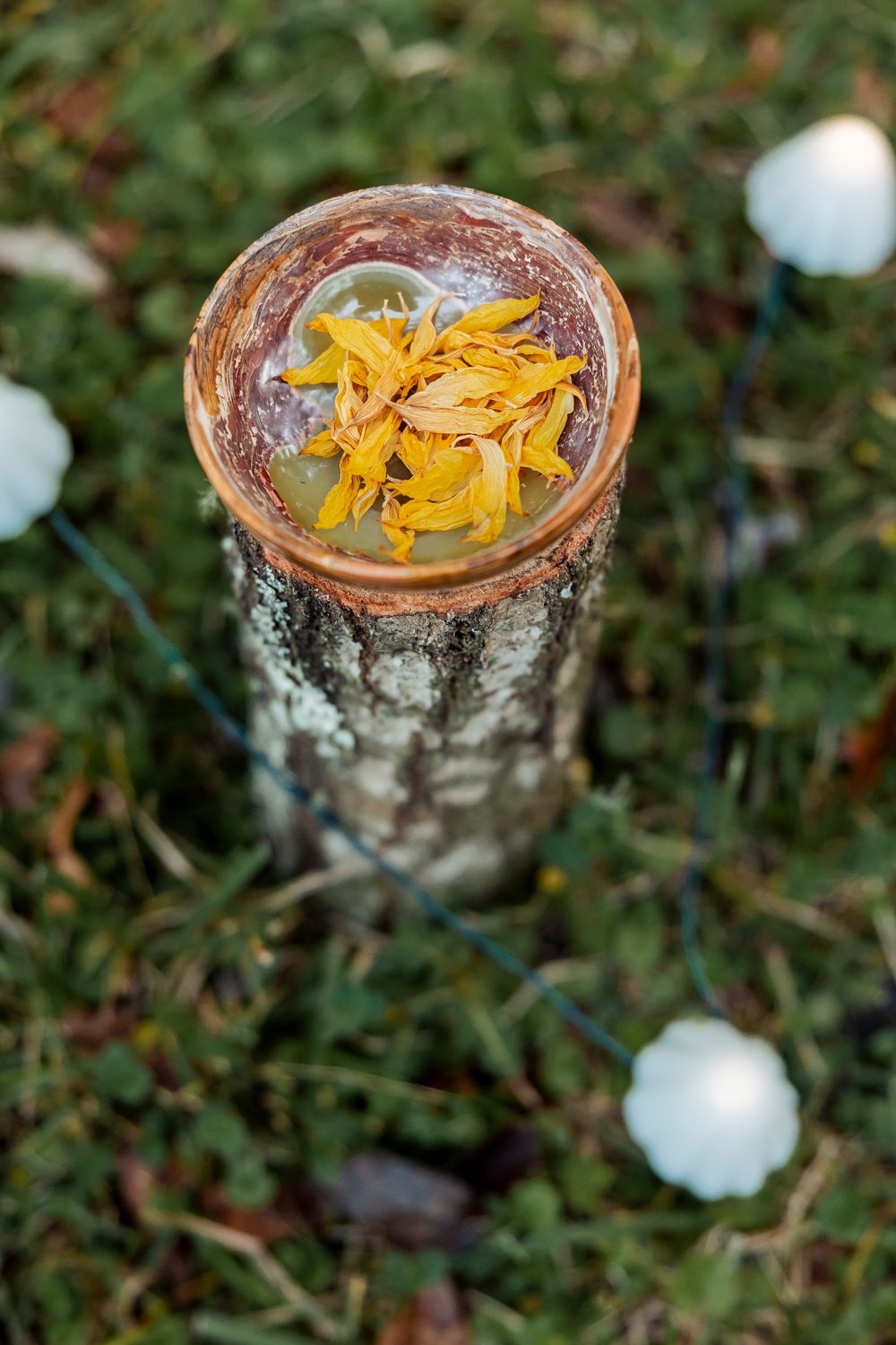Yellow flower petals floating in water inside a glass vessel on a wooden stump.