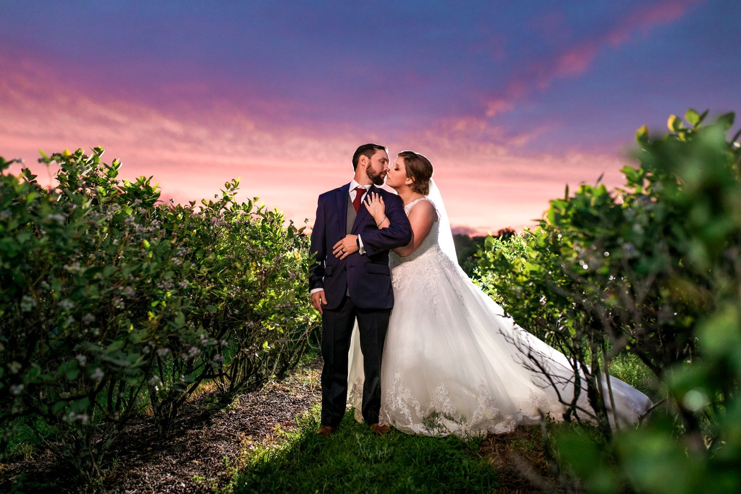 Bride and groom share a romantic kiss among vineyard rows under a stunning pink and purple sunset sky.