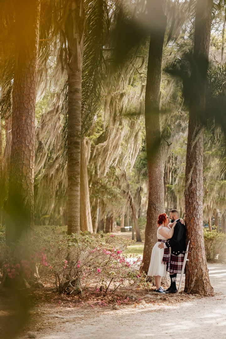 Wedding couple kissing between tall palm trees draped with Spanish moss in a sunlit Southern park.