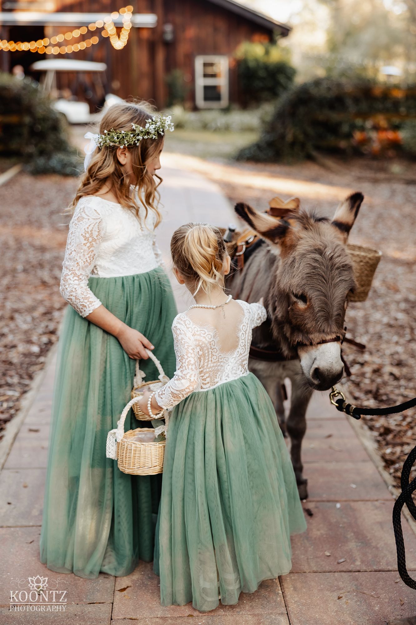 Two flower girls in sage green tulle dresses with lace tops feed a donkey at a rustic outdoor wedding venue.