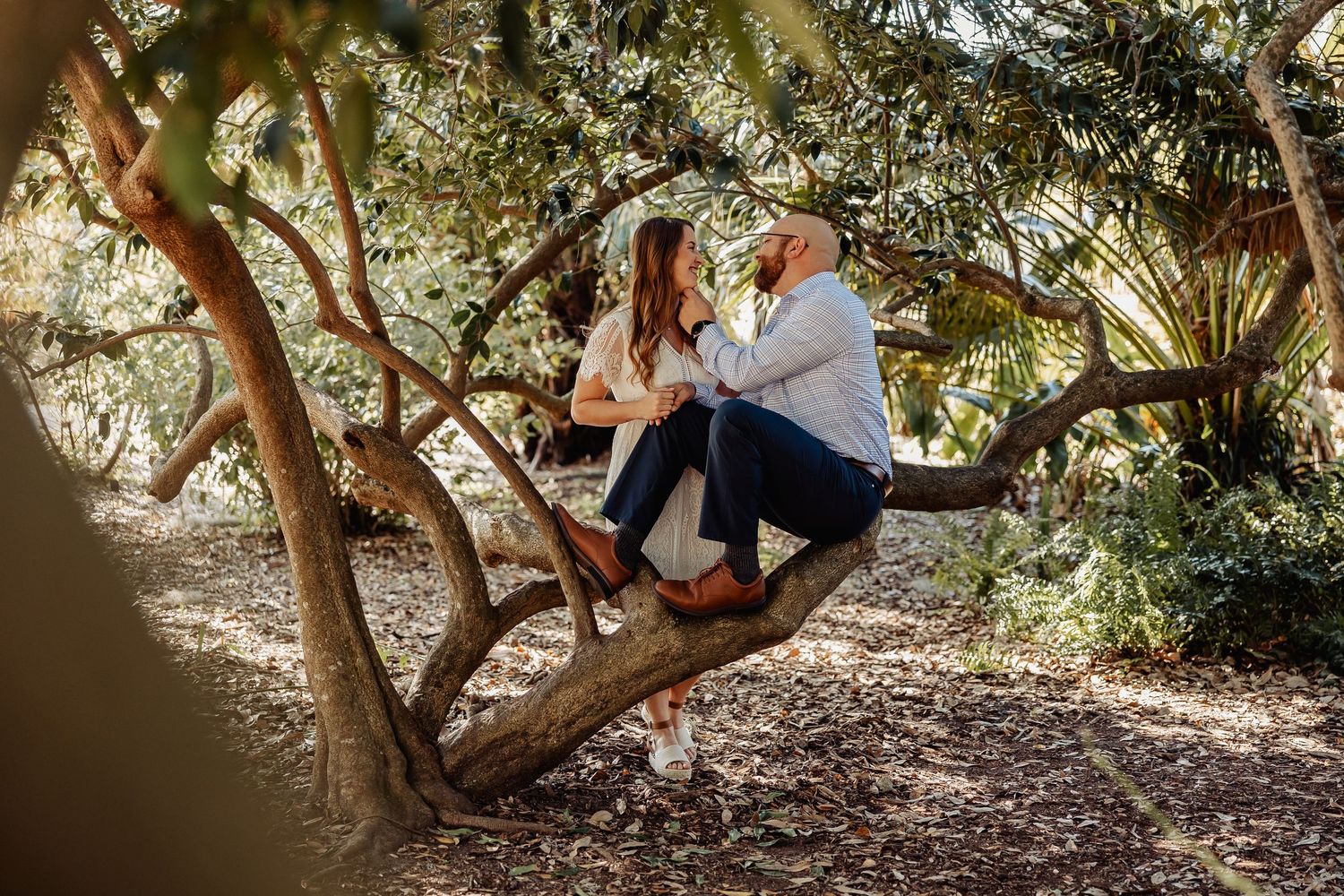 Romantic couple sitting together on curved tree branch in sunlit wooded garden setting.