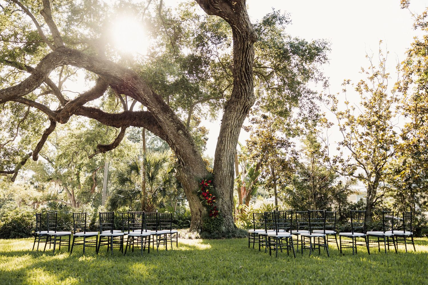 Outdoor wedding ceremony setup with chairs arranged under a large oak tree in a lush green garden.