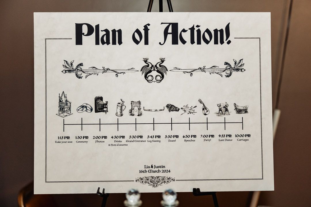 A black and white timeline chart titled 'Plan of Action' with cute animal illustrations.