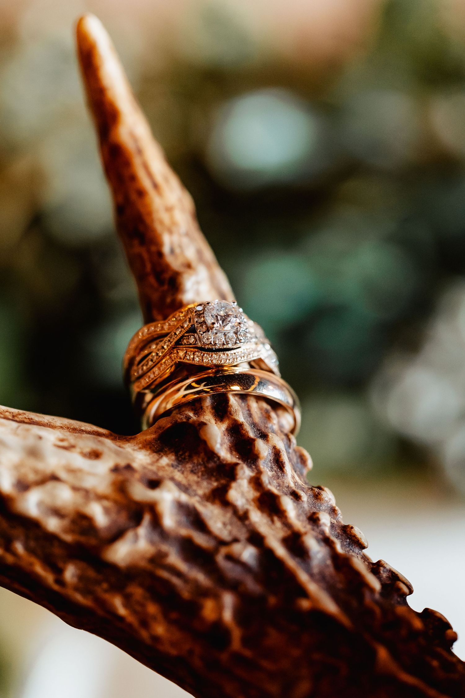 Diamond wedding ring set photographed on textured antler with bokeh background.