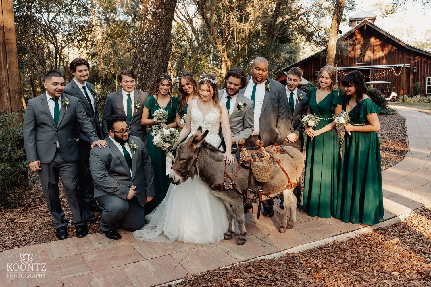 Wedding party poses with two donkeys outside rustic barn, bridesmaids in emerald green and groomsmen in gray suits.