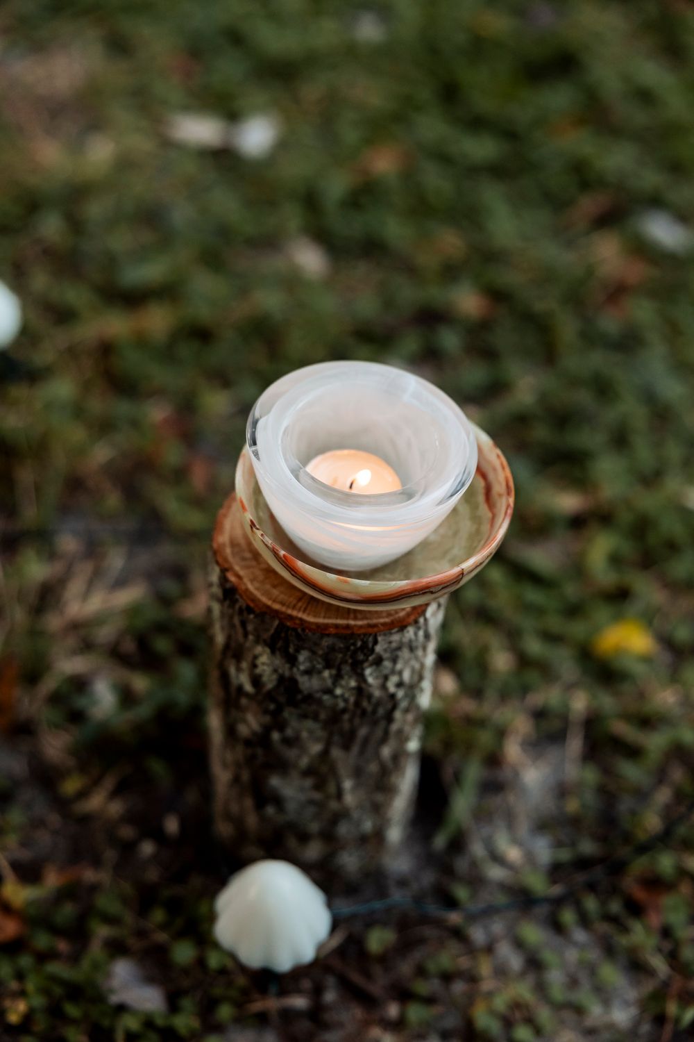 A lit candle in a white holder placed on a rustic tree stump surrounded by small mushrooms.