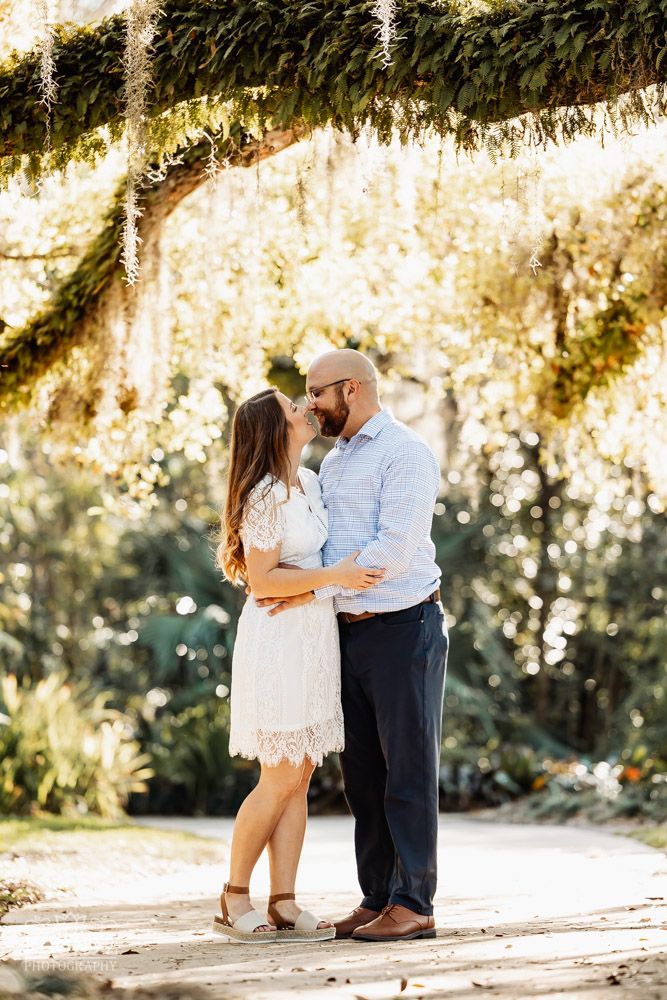 A couple shares a tender moment under hanging foliage in golden afternoon light.