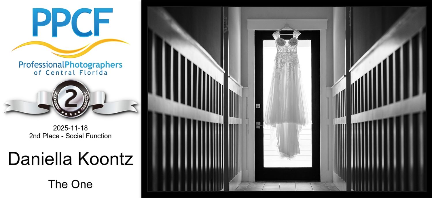 PPCF 2nd Place Social Function award by Daniella Koontz featuring black and white wedding dress photo.