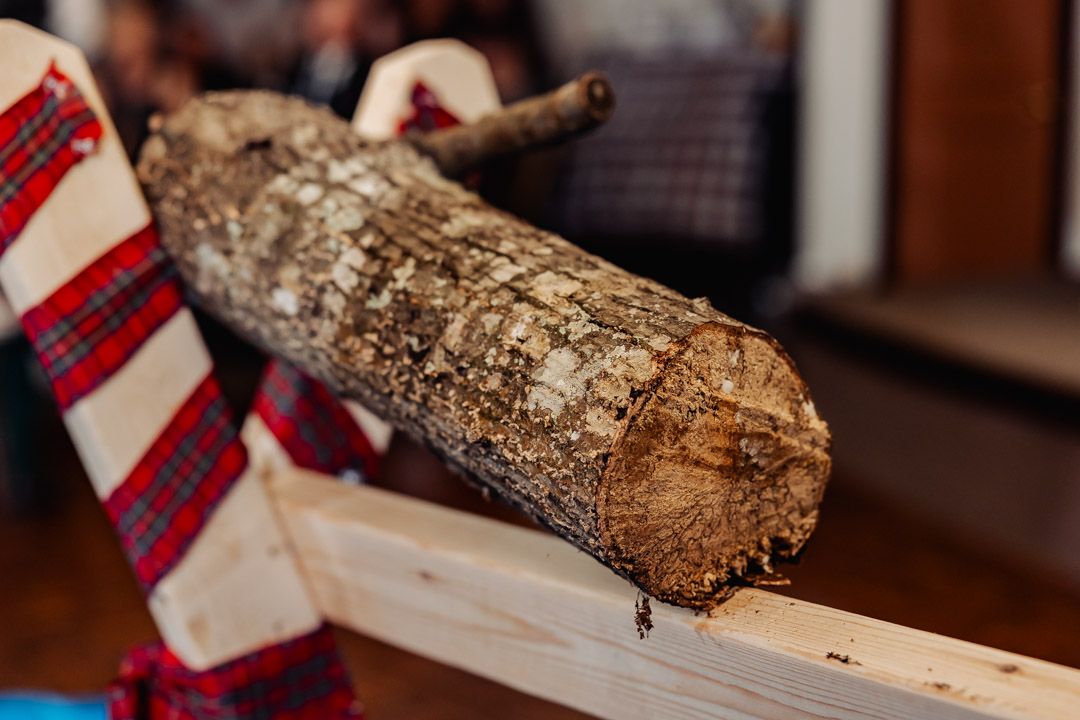 A weathered wooden log with plaid fabric visible in the background.