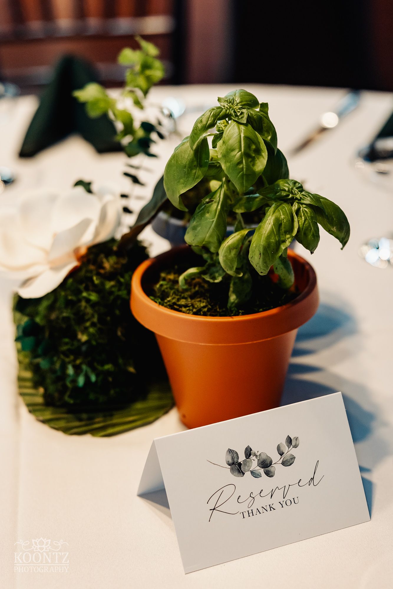 Small potted basil plant next to a 'Reserved' table card on white tablecloth.