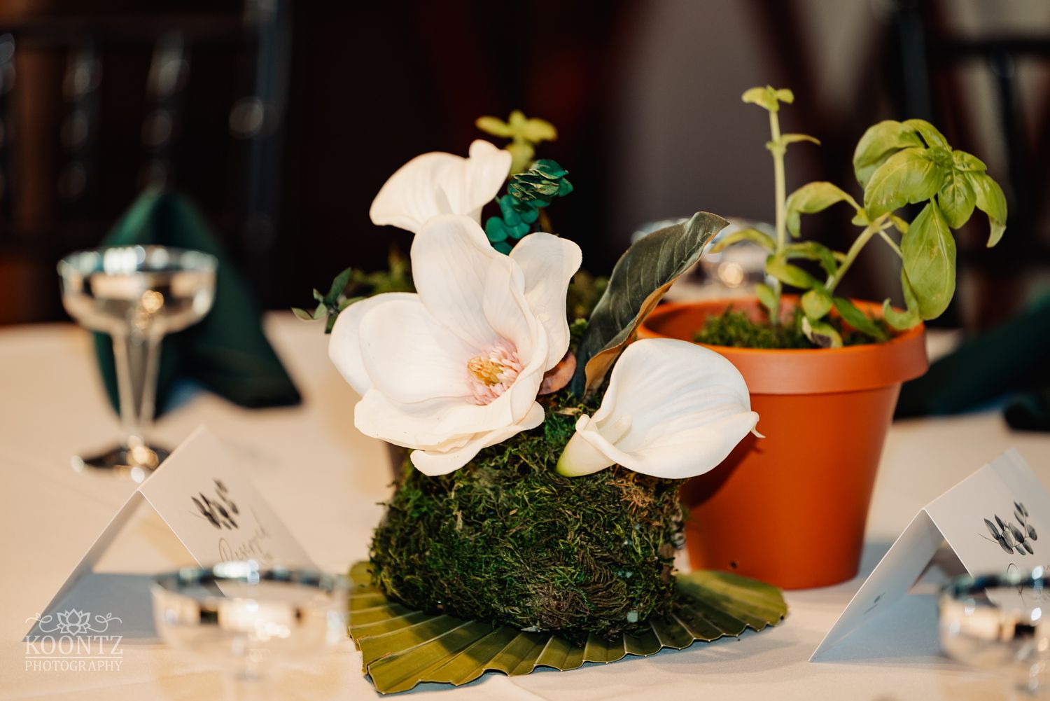 Delicate white orchid centerpiece with moss and small potted plants on a white tablecloth.