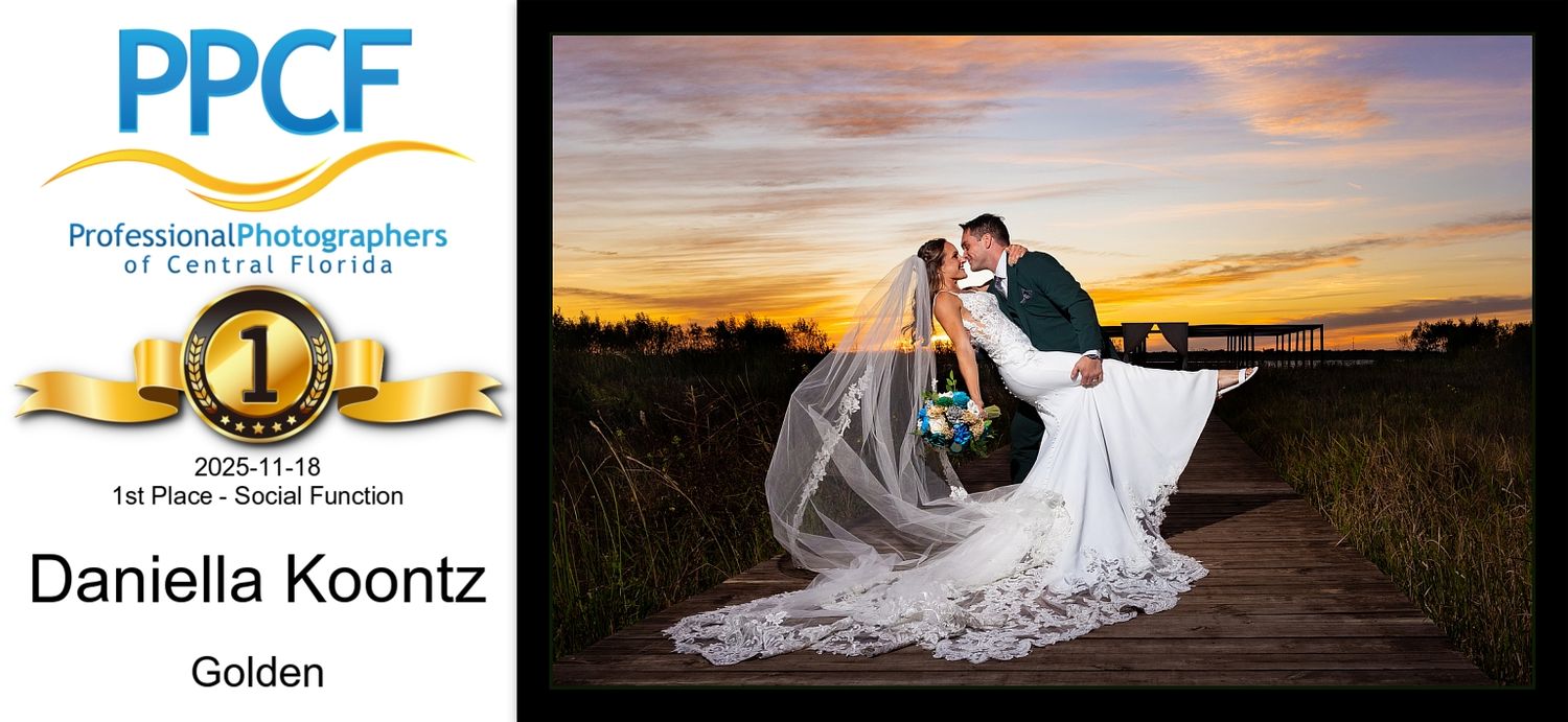 PPCF 1st Place Social Function award by Daniella Koontz showing bride and groom at golden sunset.