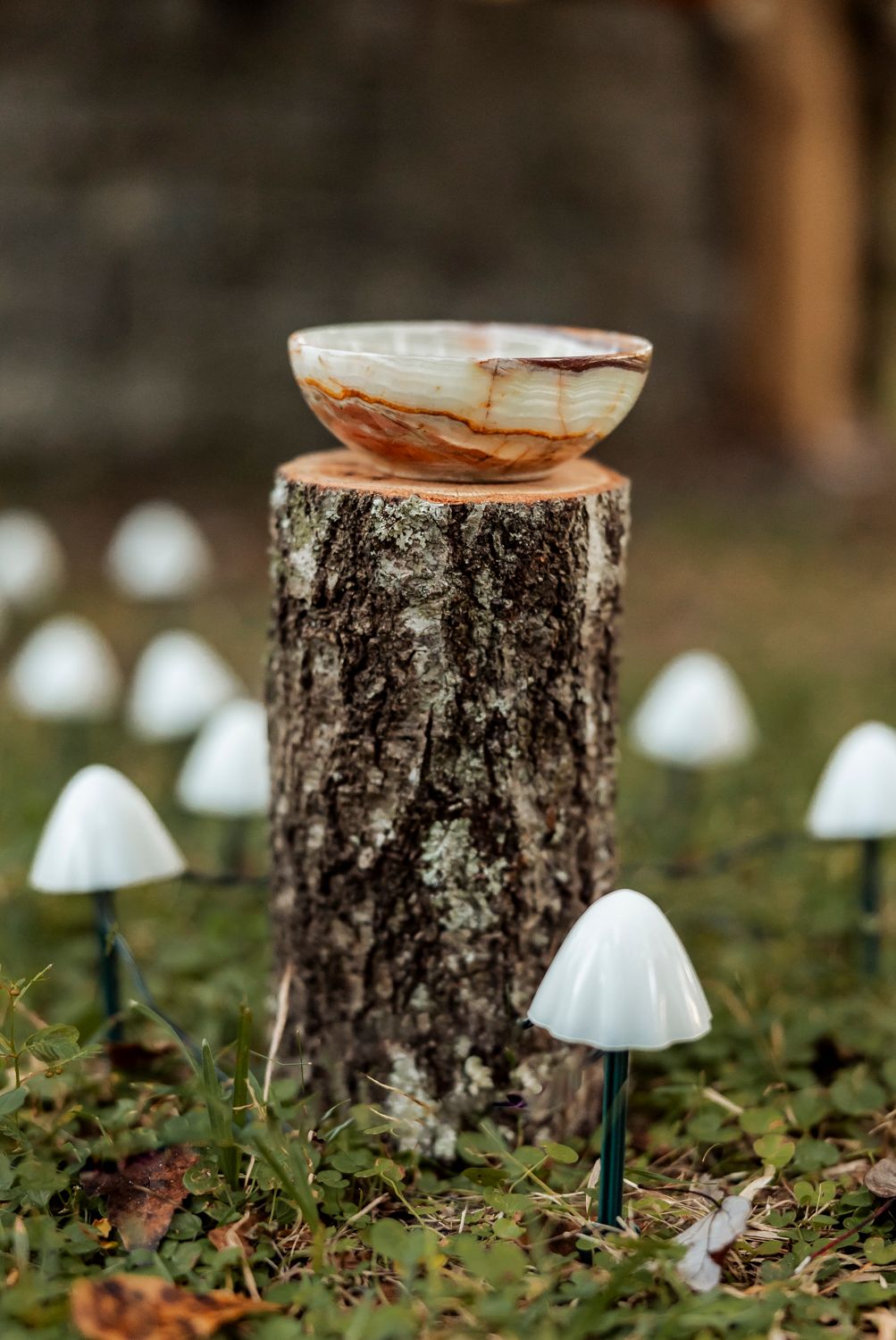 White mushroom decorations surround a wooden stump with a natural stone bowl on top.